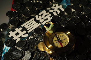 共享經濟 賠錢賺吆喝背后的戰略布局與軟件開發新機遇