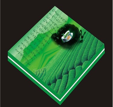 福建印刷行業的領軍者 從區域標桿到技術創新